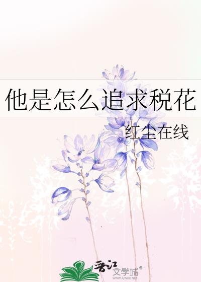 他是怎么追求税花