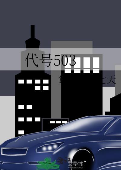 代号503