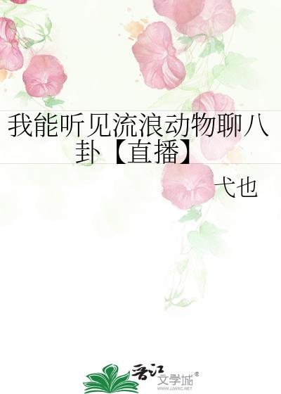 我能听见流浪动物聊八卦【直播】