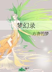 梦幻录