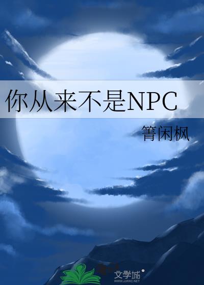 你从来不是NPC