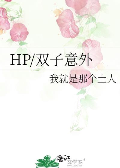 HP/双子意外