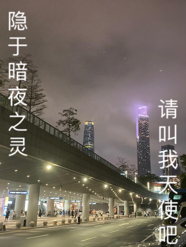 隐于暗夜之灵