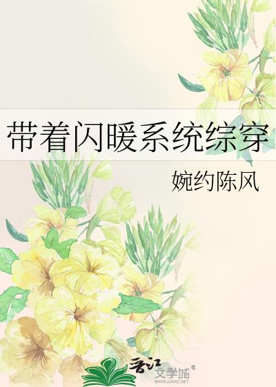 带着闪暖系统综穿